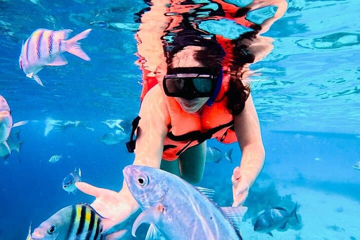 Snorkel Costa Maya: All-Inclusive Reef & Beach Club Day Pass photo 2