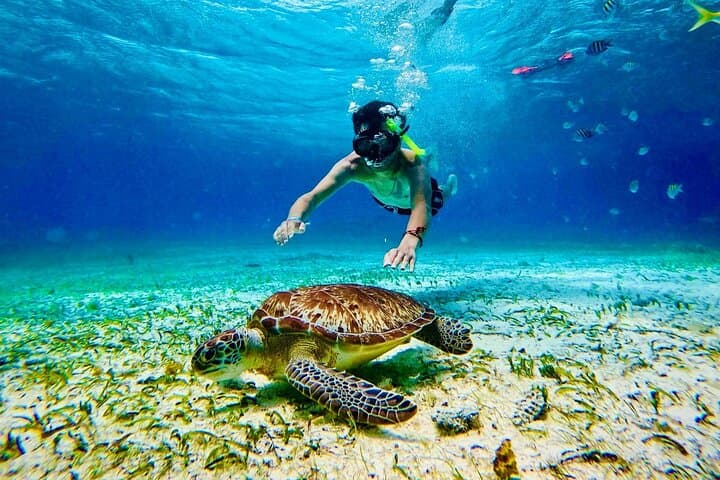 Snorkel Costa Maya: All-Inclusive Reef & Beach Club Day Pass