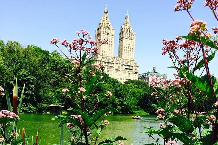 Central Park Selfie Photo Tour — 2‑Hour Guided Mobile Photography Walk photo 2