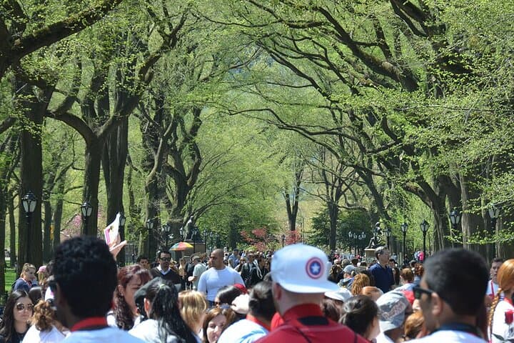 Central Park Selfie Photo Tour — 2‑Hour Guided Mobile Photography Walk photo 4