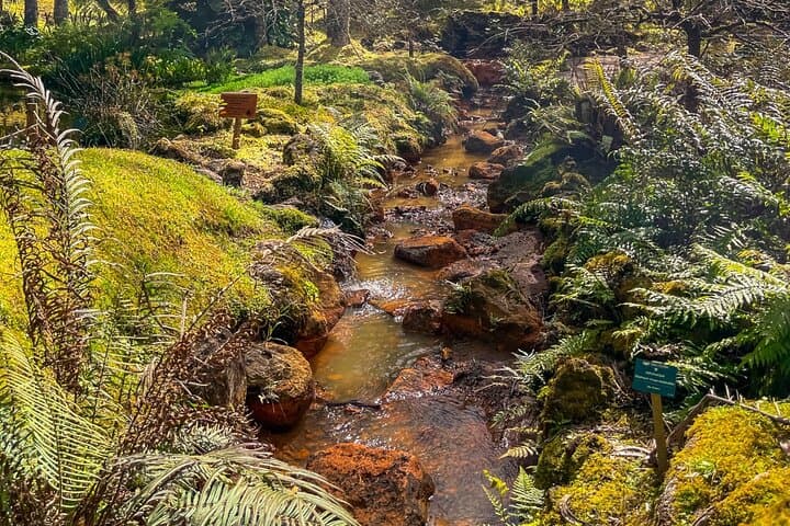 Full-Day Private Tour São Miguel Island: Lagoa das Sete Cidades, Furnas & Northeast Routes photo 3