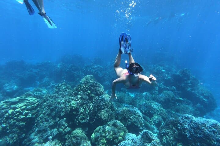 Cozumel Buggy, Snorkel & Beach Day: Explore Punta Sur, Chankanaab & the Mesoamerican Reef photo 4