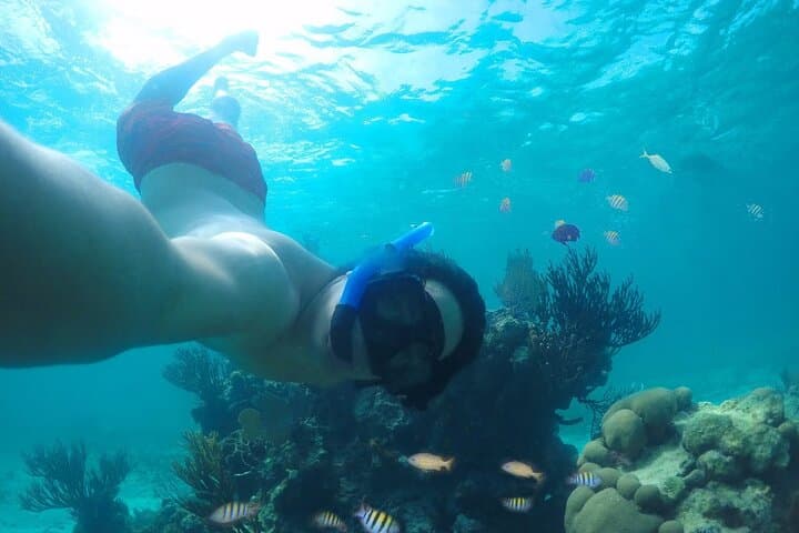 Cozumel Buggy, Snorkel & Beach Day: Explore Punta Sur, Chankanaab & the Mesoamerican Reef photo 2