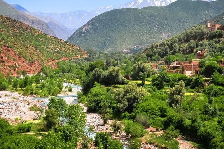 Ourika Valley Day Trip from Marrakech — Setti Fatma Waterfalls & Argan Cooperative Visit photo 4