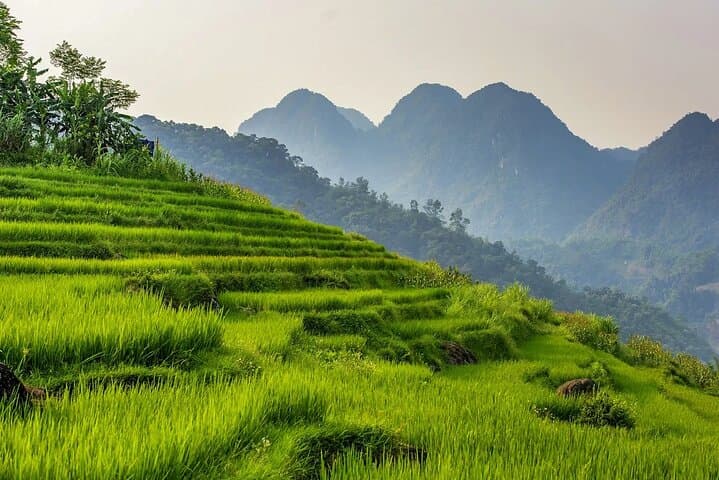 4-Day North Vietnam: Da Bac, Mai Chau & Pu Luong Cultural Escape
