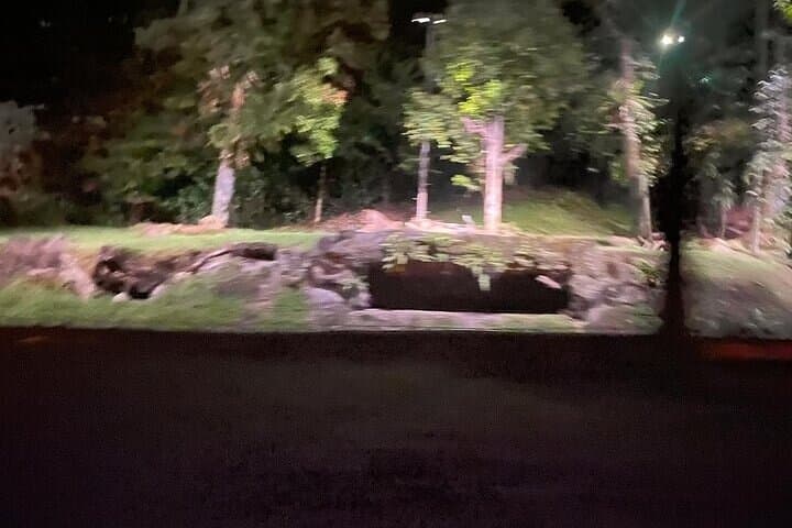 Night Safari Singapore: After-Dark Tram Ride & Walking Trails photo 3