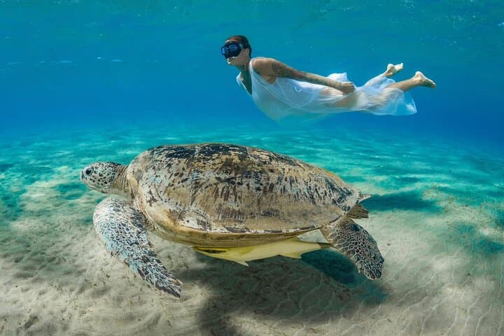 Abu Dabbab Turtle Snorkel: Swim with Turtles & Dugongs from Hurghada photo 2