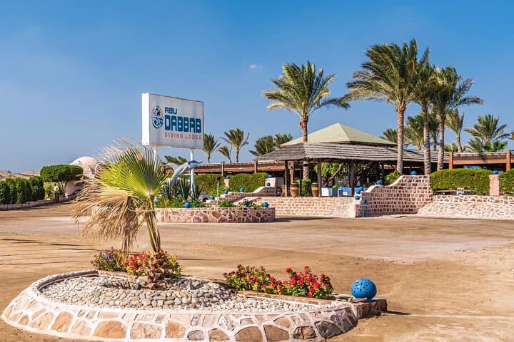 Abu Dabbab Turtle Snorkel: Swim with Turtles & Dugongs from Hurghada photo 5