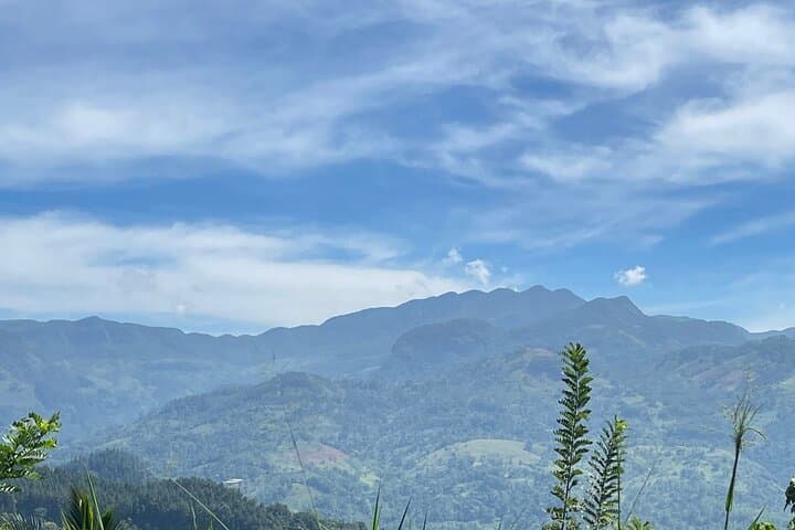 Knuckles Five Peaks Hike & Jodu Ella Waterfalls — Guided Day Trek from Kandy