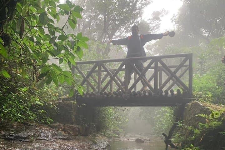 Knuckles Five Peaks Hike & Jodu Ella Waterfalls — Guided Day Trek from Kandy photo 3