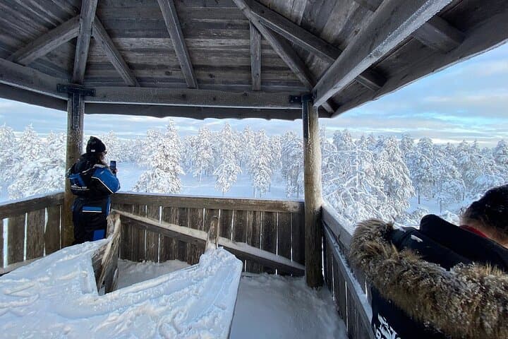 Snowshoe Vikaköngäs: Rovaniemi Wilderness Expedition with Barbecue photo 6