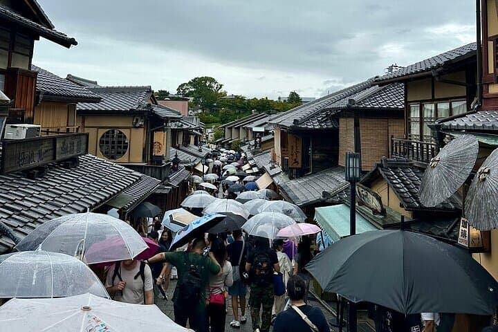 Customize Your Day in Kyoto: Private English-Speaking Driver Tour photo 4
