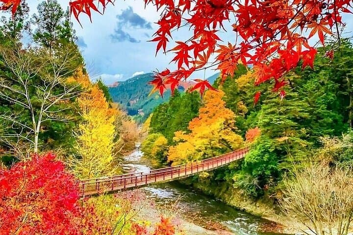 Customize Your Day in Kyoto: Private English-Speaking Driver Tour photo 6