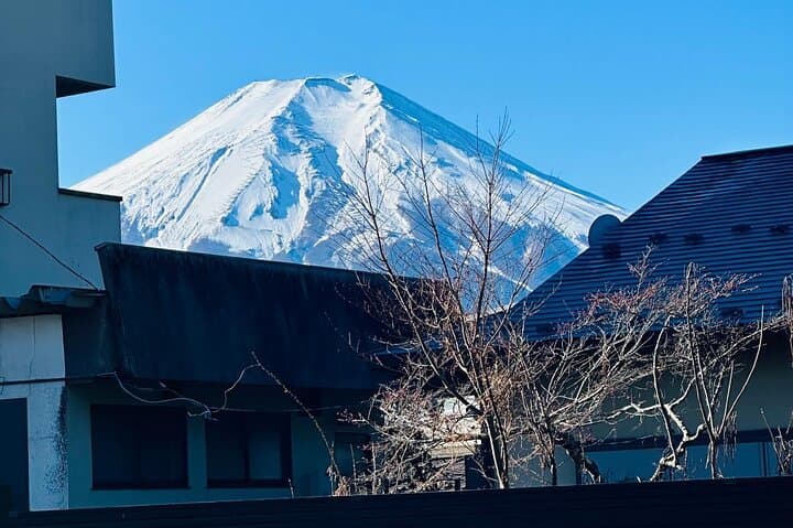 Fuji & Hakone Day Tour from Tokyo — Lake Ashi Cruise, Owakudani and Chureito Pagoda photo 4