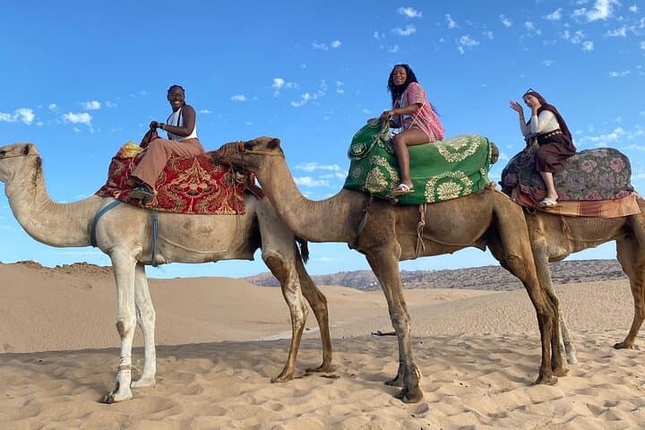 Timlalin Dunes Camel Ride: Sunset Trek with Mint Tea from Agadir