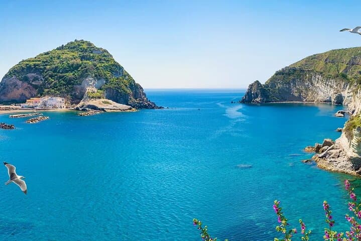 Naples to Ischia, Procida & Punta Pennata: Full-Day Boat Tour from Rome photo 2