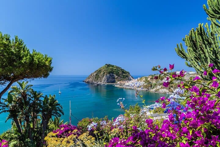 Naples to Ischia, Procida & Punta Pennata: Full-Day Boat Tour from Rome photo 4