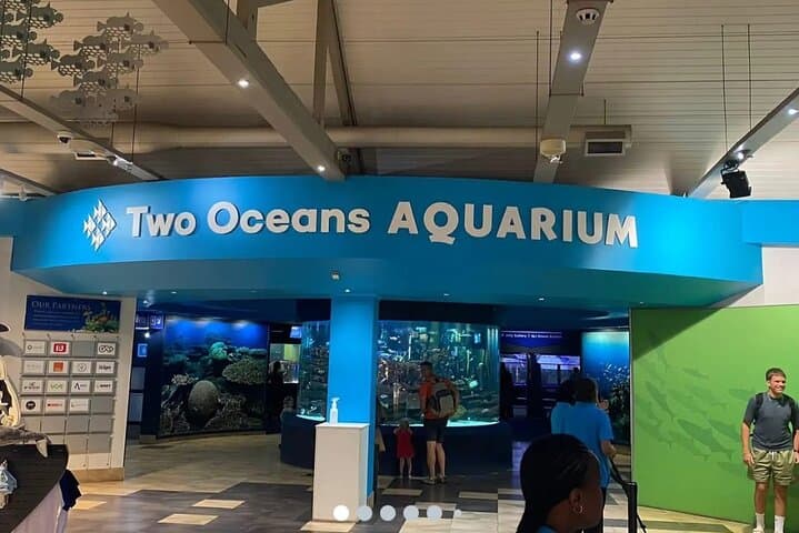 V&A Waterfront Day: Two Oceans Aquarium, Amphibious Duck Tour & Botanical Garden Stroll photo 1