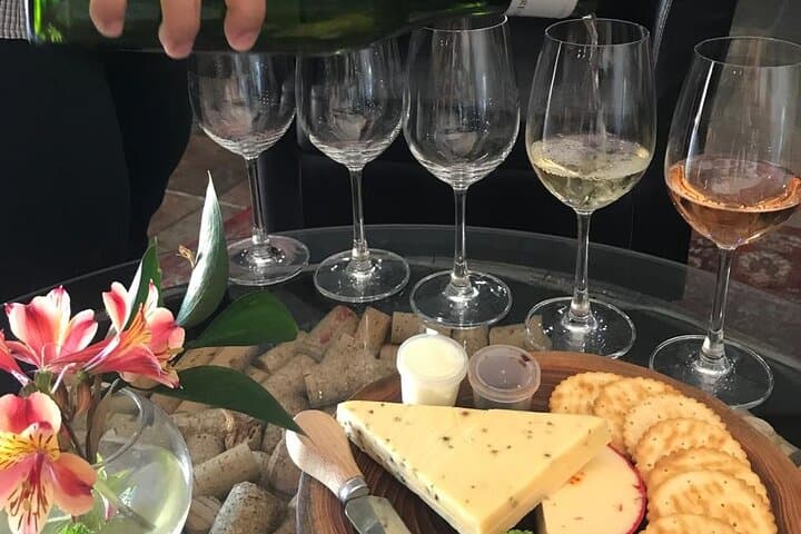 Heart Transplant Museum & Constantia Wine Tour — Cape Town Medical History and Wine Tasting photo 6