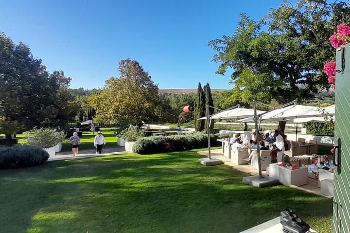 Hermanus Whale Watching, Vredenheim Wine & Stellenbosch Big Cats: One-Day Coastal to Winelands Circuit photo 3