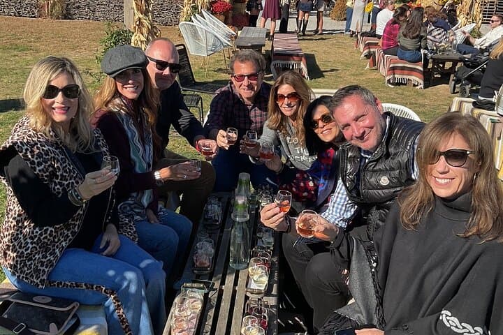 North Fork Wine Tour: Greenport Sights, Oysters & Small Plates (Half-Day)
