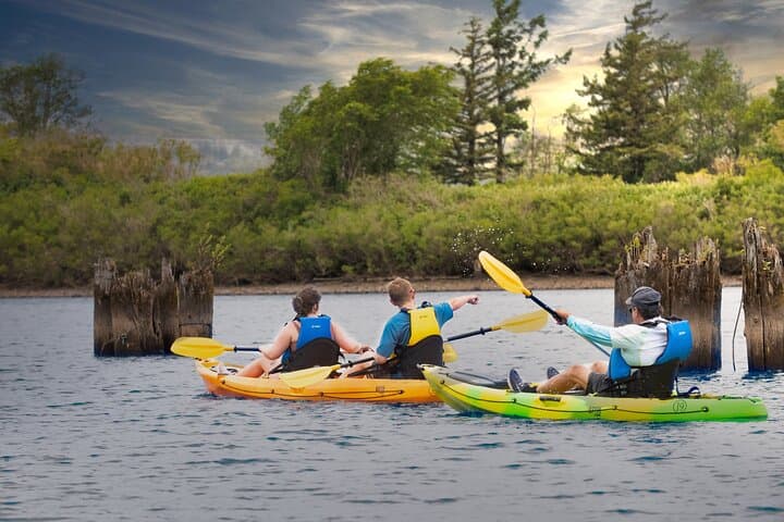 Columbia River Gorge Kayak Tour: Herman Creek to Government Cove photo 6