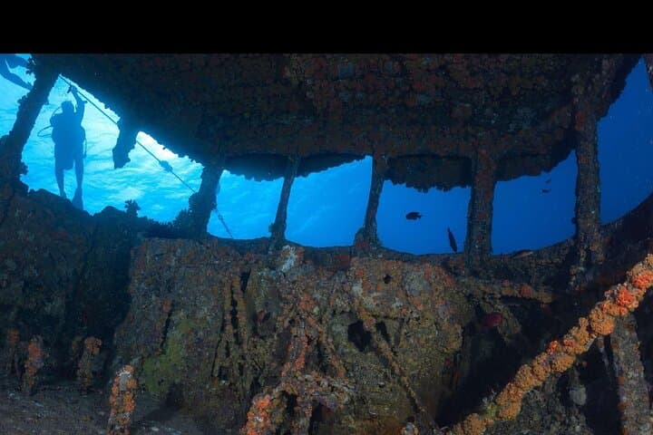 Waikiki Wreck and Reef Dive: Sea Tiger, YO-237 & Turtle Encounters