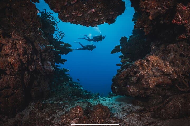 Waikiki Wreck and Reef Dive: Sea Tiger, YO-237 & Turtle Encounters photo 5