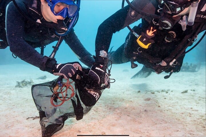 Waikiki Wreck and Reef Dive: Sea Tiger, YO-237 & Turtle Encounters photo 6