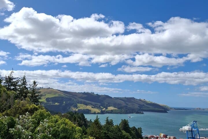Dunedin & North Otago Scenic Wildlife Tour: Private Day Trip from Dunedin