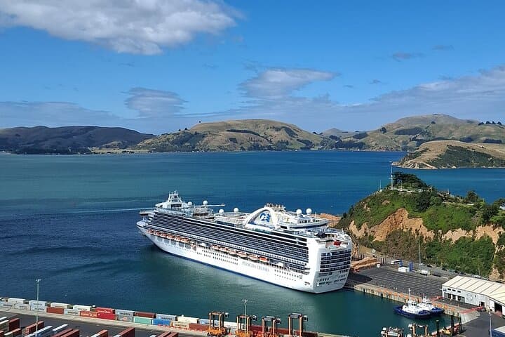 Dunedin & North Otago Scenic Wildlife Tour: Private Day Trip from Dunedin photo 2
