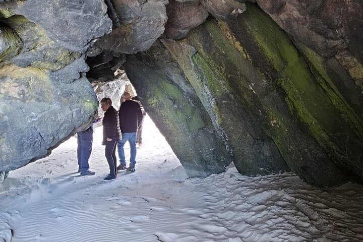Dunedin & North Otago Scenic Wildlife Tour: Private Day Trip from Dunedin photo 5