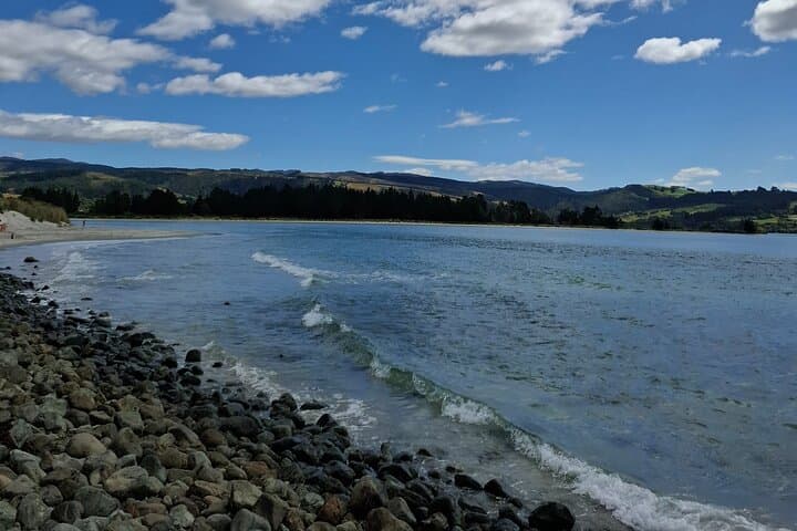 Dunedin & North Otago Scenic Wildlife Tour: Private Day Trip from Dunedin photo 6