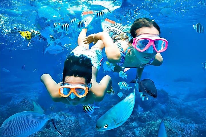 Private Snorkeling at Pigeon Island Trincomalee — Speedboat, GoPro & Guided Reefs photo 1