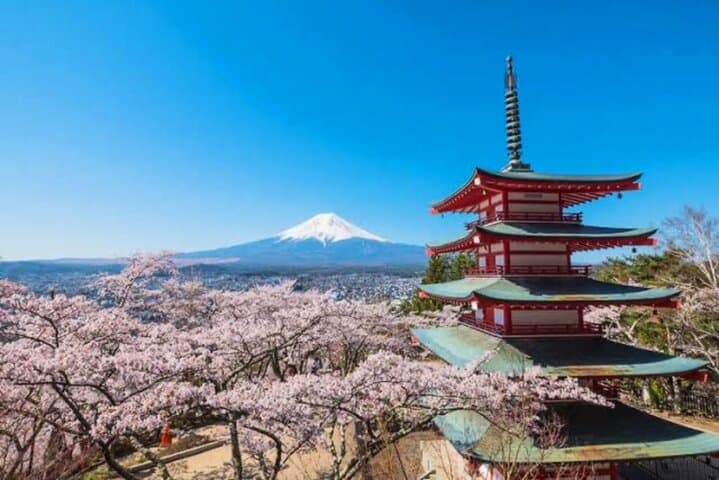Mount Fuji & Hakone Customizable Day Tour with Private English-Speaking Driver photo 6