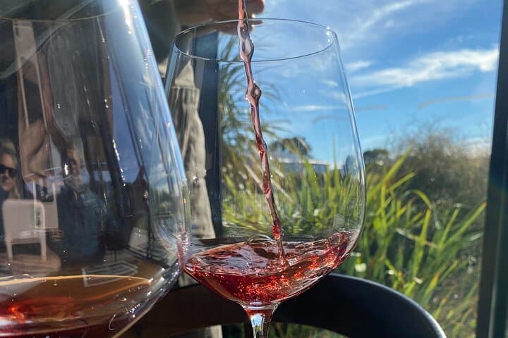 Private Martinborough Wine Tour: Barrel-Room Tastings and Vineyard Walks with a WSET3 Guide
