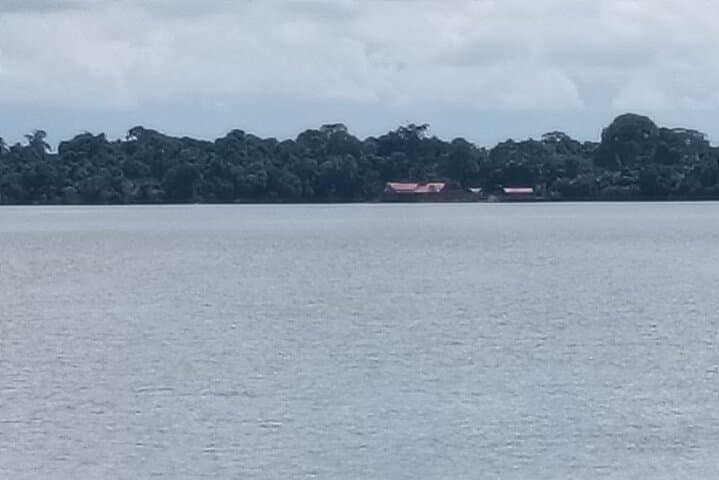 Orangutan Island Ethical Sanctuary Visit at Bukit Merah Lake photo 6
