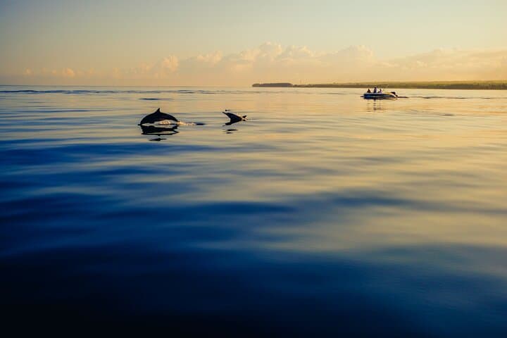 Private Puma 34 Sailing from Estepona: Dolphins, Sunset & Paddleboarding photo 4