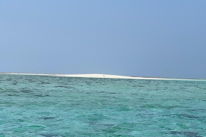 Zanzibar birdwatching, spice farm & Nyange Sand Bank day tour photo 2