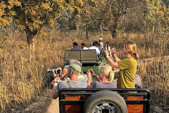 3-Day Chitwan Jungle Safari: Rhino, Tiger & Tharu Culture from Kathmandu photo 4