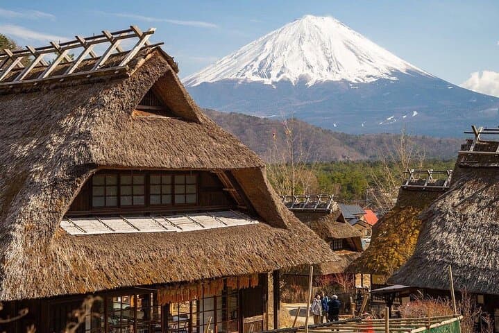 Fuji & Hakone Day Tour from Tokyo — Lake Ashi Cruise, Owakudani and Chureito Pagoda photo 5