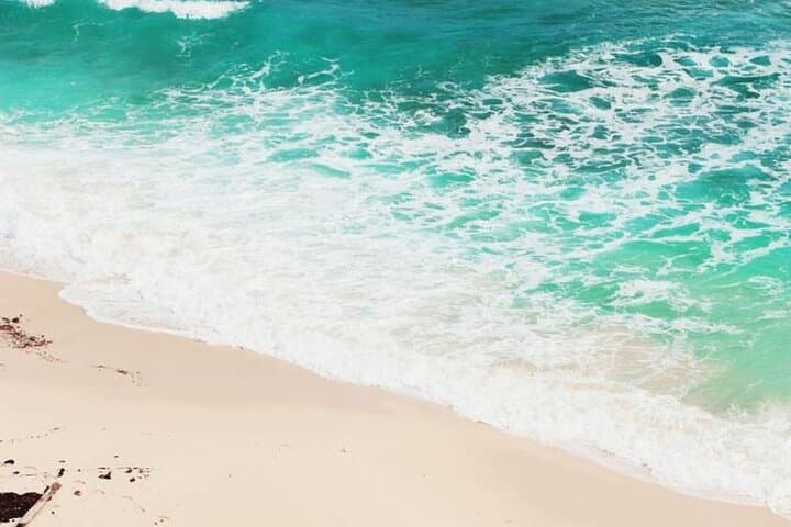 Private Buggy Tour to Punta Sur Eco Park & Cielo Beach Club — Cozumel 3–5 Hour Adventure photo 1