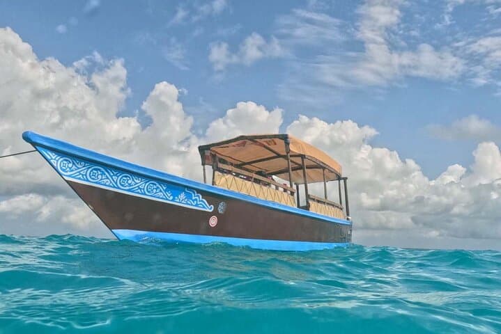 Mnemba Snorkeling and Dolphin Swim Adventure from Nungwi photo 4