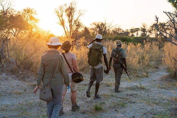 Kruger Walking Safari from Marloth Park — 4-Hour Guided Bush Walk