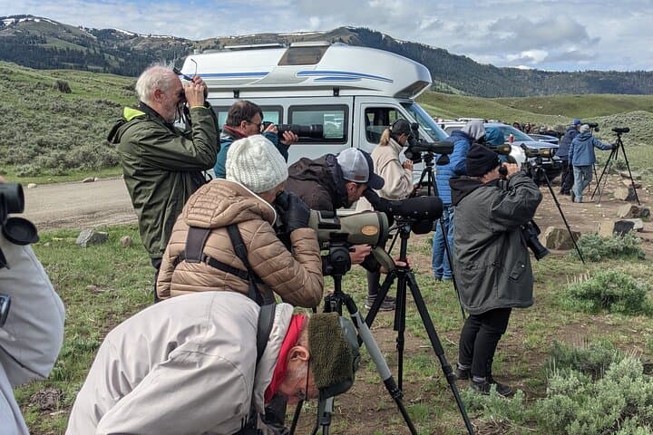 Private Yellowstone Wildlife Tour: Full-Day Guided Wildlife Viewing & Photography photo 6