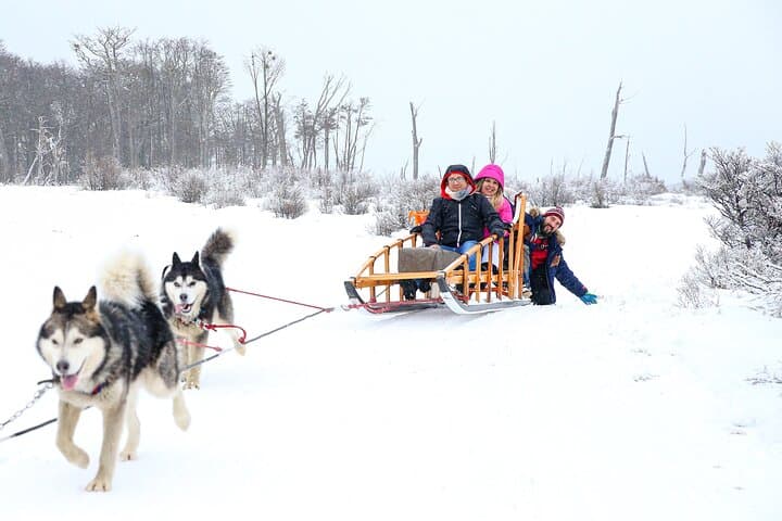 Husky Park White Adventure: Sledge Ride and Snowmobile in Ushuaia photo 3