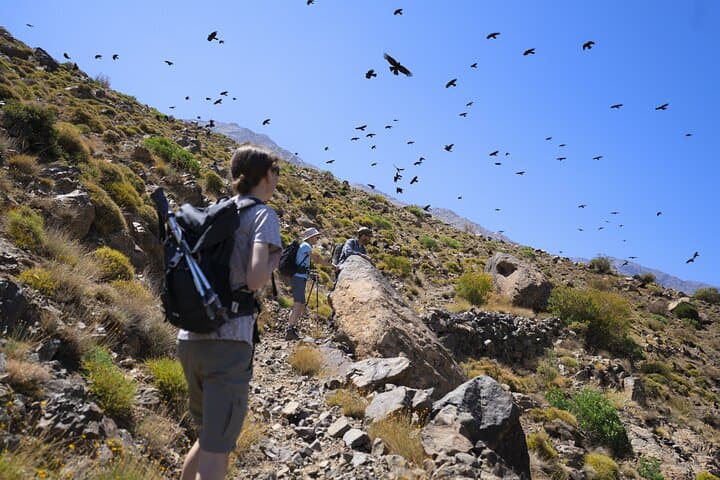 3-Day High Atlas Trek from Marrakech — Imlil, Three Valleys & Toubkal Passes photo 5