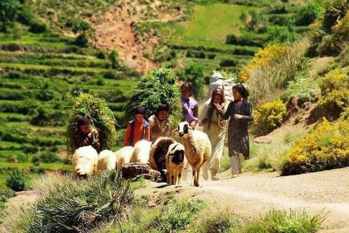 3-Day Atlas Mountains Trek from Marrakech: Berber Villages, Waterfalls & High Passes photo 1