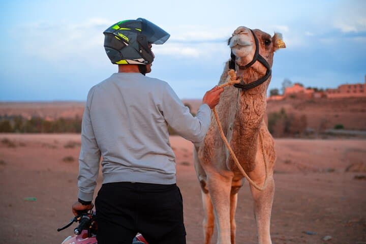 Agafay Desert Combo: Quad Ride, Camel Trek & Dinner Show Near Marrakech photo 5