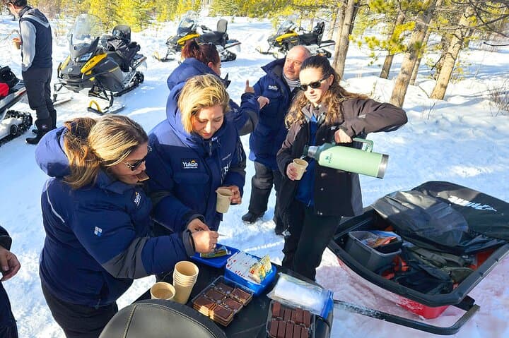 Half-Day Arctic Snowmobiling in Yukon’s Ibex Valley photo 4